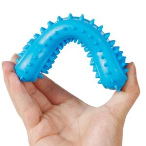 Dog Bone Dental Care ChewToy (Blue)