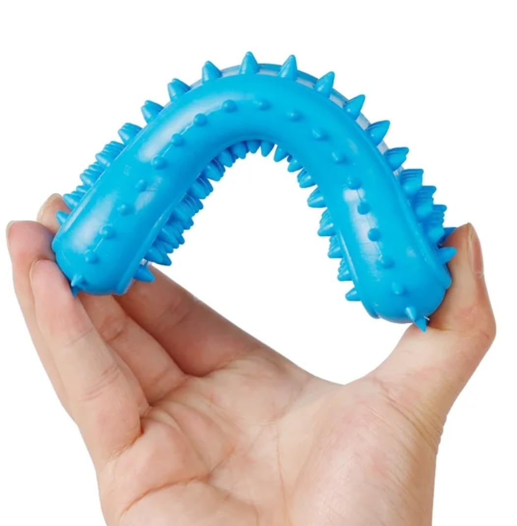 Dog Bone Dental Care ChewToy (Blue)