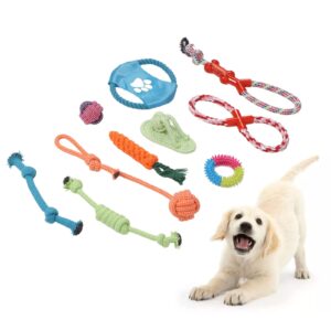 Dental Dog Rope Toys Cleaning Chew Toys Cotton Rope Dog Toy Durable Interactive Dog Tug Toy Puppy Chew Toys Small Teething Pets for Aggressive Chewers