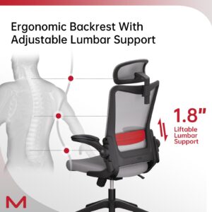 Motostuhl C6 Grey Ergonomic Office Chair Office Desk Chair with Lumbar Support 2D Headrest Flip Up 4D Armrest 120° Rocking Mesh Computer Chair Office Chairs for Office Home Conference Room Usage