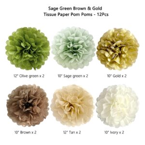 ANSOMO Sage Green Brown Gold Tissue Paper Pom Poms Party Decorations Olive Tan Ivory Flowers Wall Hanging Décor Jungle Safari Woodland Wild Table Centerpieces Supplies Birthday Bridal Baby Shower