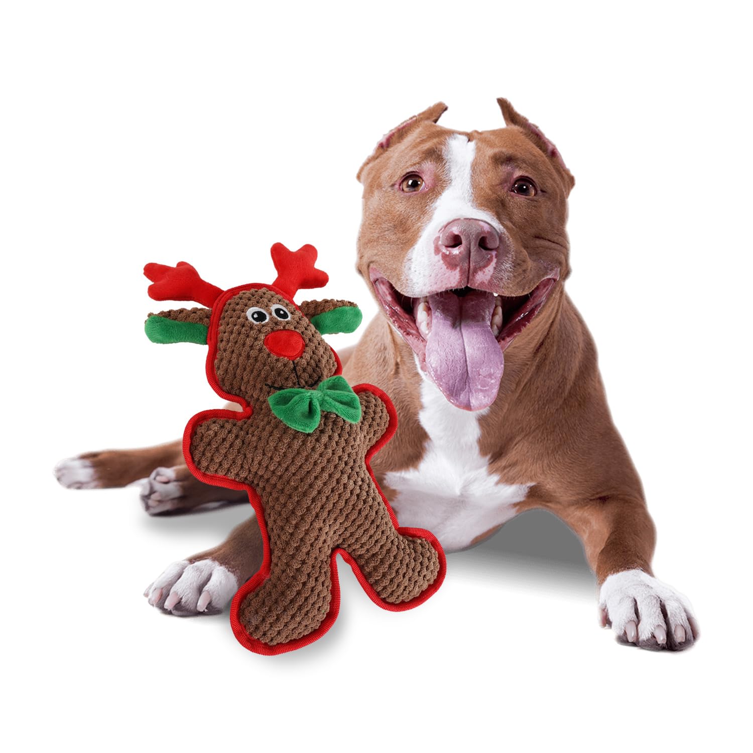 AFP MerryTough Buddy Reindeer - Christmas Dog Toy with Squeaker, Interactive Durable Plush Chew Toy for Small, Middle, Large Dogs, Ideal for Fetch, Teeth Cleaning, and Boredom Reduction