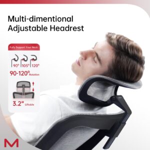 Motostuhl C6 Grey Ergonomic Office Chair Office Desk Chair with Lumbar Support 2D Headrest Flip Up 4D Armrest 120° Rocking Mesh Computer Chair Office Chairs for Office Home Conference Room Usage