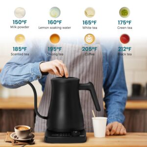 TUMIDY Electric Gooseneck Kettle Temperature Control 1L 8 Variable Presets Pour over Coffee Kettle, 1500W Rapid Heating, Stainless Steel Inner, Auto Shutoff Anti-dry Protection Matte Black