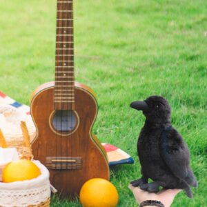 Whrigud Realistic Crow Plush, Cute Black Raven Stuffed Animal Plush Pillow Toys, Soft Little Bird Raven Stuffed Toys Doll for Birthday Kids Gifts Home Decor 9.44''