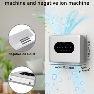 Portable Ozone Machine Generation for Water and Air, with Dual Outlets, Negative Ion and Timer，Silver