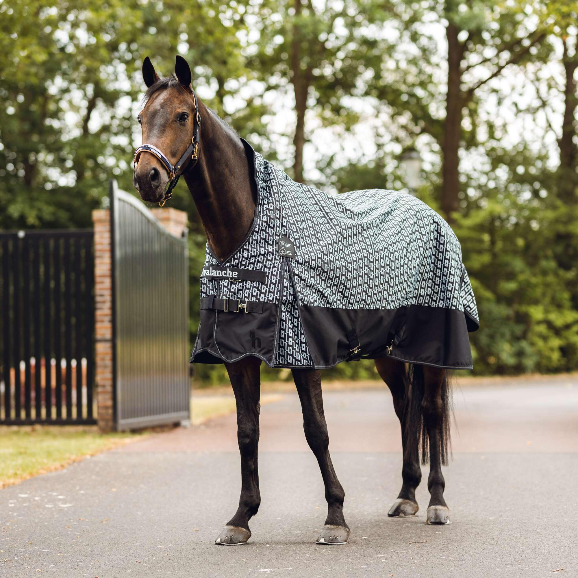 Horze Avalanche 1200D High Neck Turnout Rain Sheet (No Fill) | Lightweight Waterproof Horse Blanket - Dark Navy/Dawn Grey Print - 75 in