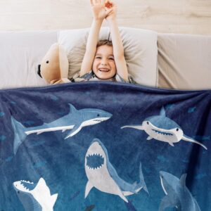 Shark Throw Blanket, 320gsm Kids Blanket Fluffy Cozy Soft Warm Plush Lightweight Decorative Blanket Gifts for Boys Girls Women Men Baby, Blankets Quilt for Bed Sofa Chair Couch (50"x40")