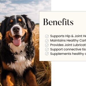 Woofy Maximum Strength Hip & Joint Health Supplement for Dogs - with Glucosamine, Chondroitin, and MSM, 90 Soft Chewable Tablets