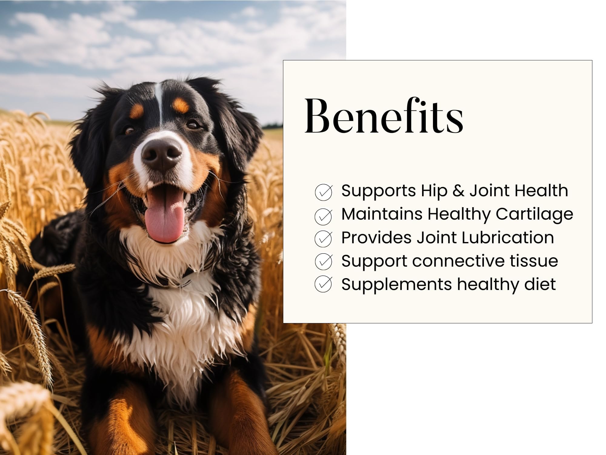 Woofy Maximum Strength Hip & Joint Health Supplement for Dogs - with Glucosamine, Chondroitin, and MSM, 90 Soft Chewable Tablets