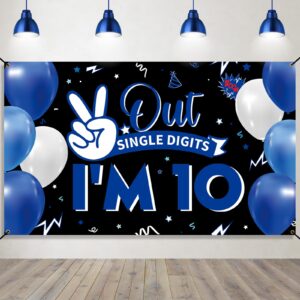 happy 10th birthday backdrop banner, 10th birthday decorations for boys girls, funny double digits 10 years old birthday party photo props background yard sign decor supplies, fabric, vicycaty