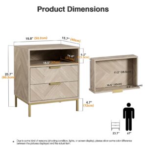 Anmytek Modern Nightstand for Bedroom, 2 Drawer Nightstand Square Bedside Table End Table with Storage for Bedroom, Sofa Side Table 2 Drawer Nightstand, Natural Oak, H0103