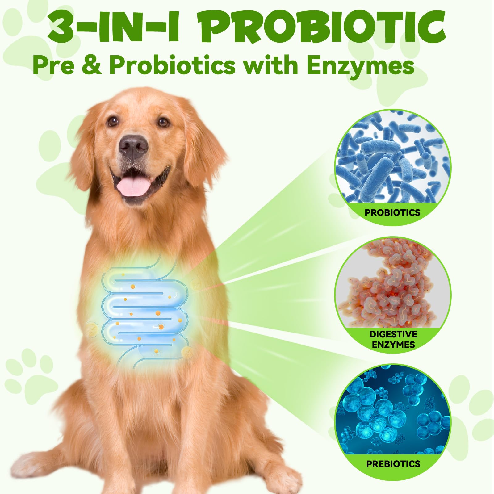 3 in 1probiotics for Dogs,Dog probiotics and Digestive enzymes,Dog Digestive Health Gut, Immune Bowel Support, Reduce Diarrhea, Dog Probiotics Supplements for All Ages and Breeds Dogs 60ml