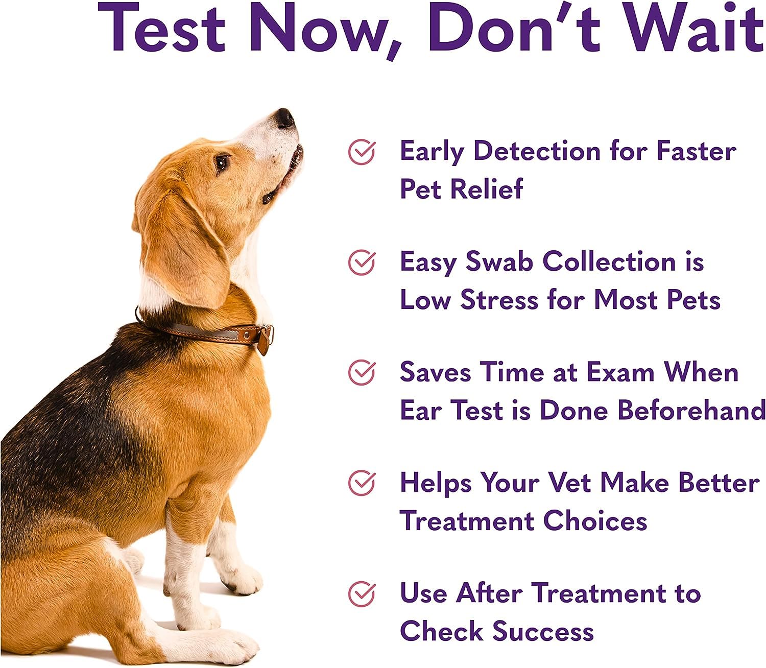 MySimplePetLab Dogs Ear Infection Test Kit | Fast and Accurate Detection of Yeast and Other Ear Irritations| Reliable Mail-in Dog Ear Care Test for Smelly, Itchy, or Sore Ears