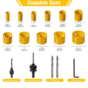 KATA Bi-Metal Hole Saw Kit, 18 Piece M42 Steel Hole Saw Set with 3/4" -2-1/2" (19-64mm), General Purpose Hole Saw Blades in Case with Mandrels, Drill Bit, Hex Key for Thin Metal, Hard Wood, Drywall