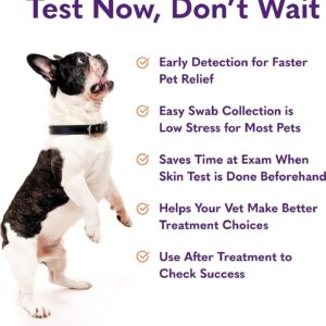 MySimplePetLab Dogs Itch and Skin Test Kit | Fast and Accurate Detection of Yeast and Other Skin Irritaions | Mail-in Dog Itchy Skin Test Used for Irritated, Itchy, or Smelly Skin