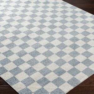 Mark&Day Washable Rugs, 2x3 Shaquina Modern Pale Blue Checkered Rug, Blue Ivory Carpet for Living Room, Bedroom or Kitchen (2' x 3', Machine Washable)