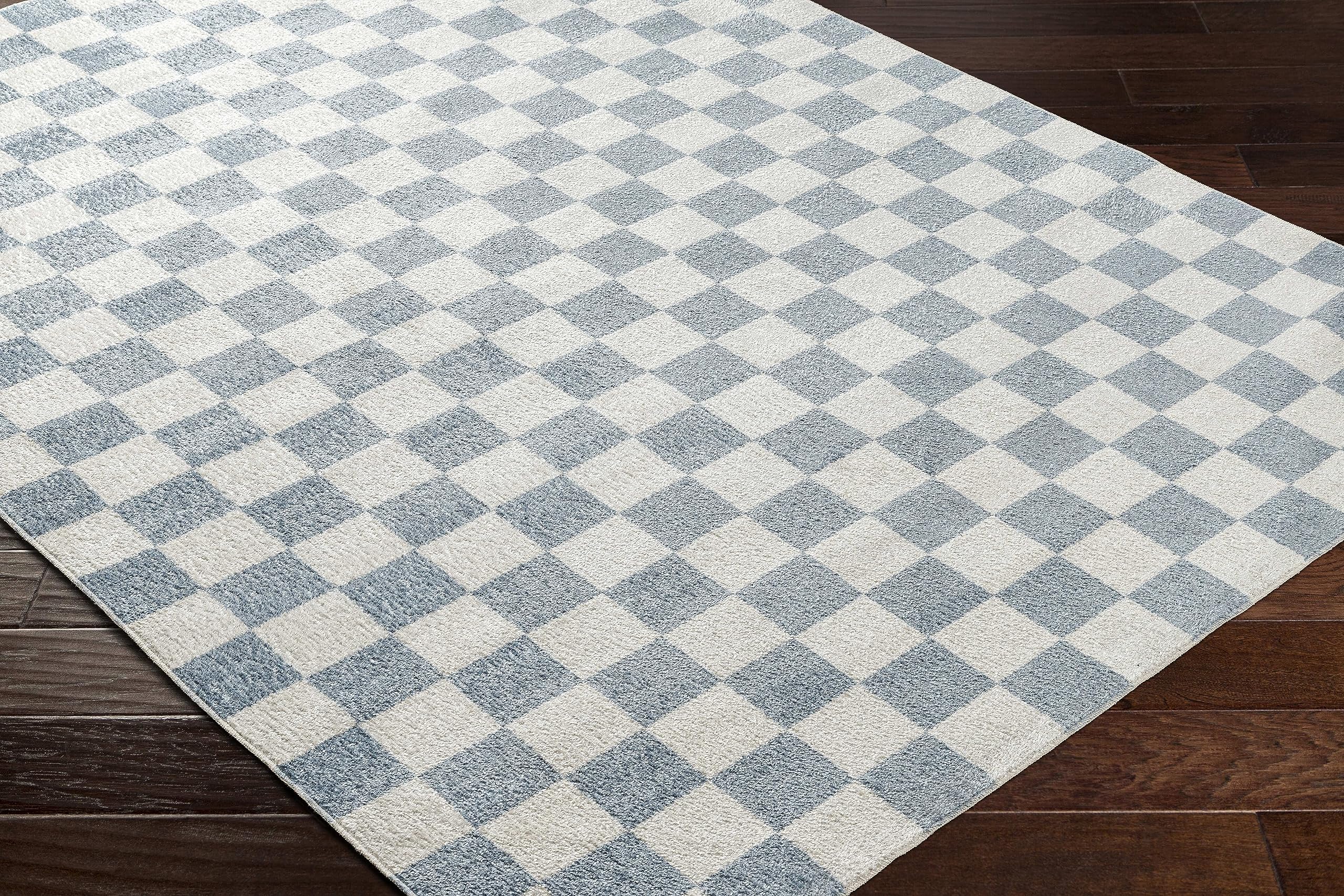 Mark&Day Washable Rugs, 2x3 Shaquina Modern Pale Blue Checkered Rug, Blue Ivory Carpet for Living Room, Bedroom or Kitchen (2' x 3', Machine Washable)