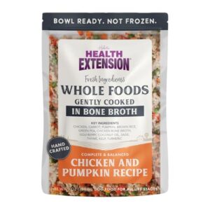 Health Extension Gently Cooked Chicken & Pumpkin Dog Food, (9 oz, 255 g) – Bowl Ready with Bone Broth, Omega-3s & Superfoods for All Life Stages (Case of 10 Pouches)