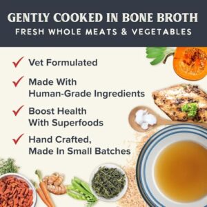 Health Extension Gently Cooked Chicken & Pumpkin Dog Food, (9 oz, 255 g) – Bowl Ready with Bone Broth, Omega-3s & Superfoods for All Life Stages (Case of 10 Pouches)