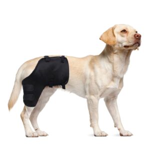 ablazezai pet leg joint wrap protector for dogs, adjustable dog elbow brace protector pads, puppy wounds compression wrap sleeve prevent licking, pets recovery suit for cat dog (right hind leg, l)