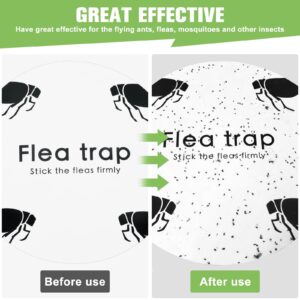 KILSACO Flea Trap Refill Discs- Sticky Glue Boards 14 Packs- 7.1 Inch Natural Glue Board, Non-Toxic Refill Glue Pad Replacement Mat Fits Most Flea Traps