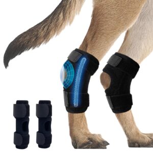 dog leg brace for font rear hock & ankle, canine leg joint compression wrap for torn acl & ccl, dog foot injury and sprain protection, wound care and loss of stability from arthritis 1pair (m)