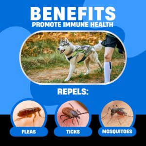 Natural Flea and Tick Prevention for Dogs - Dog Flea and Tick Treatment Chewable - Safe Flea Treatment Dogs of All Breeds & Ages - Flea Chews for Dogs - Flea Pills for Dogs for Dog Flea & Tick Control