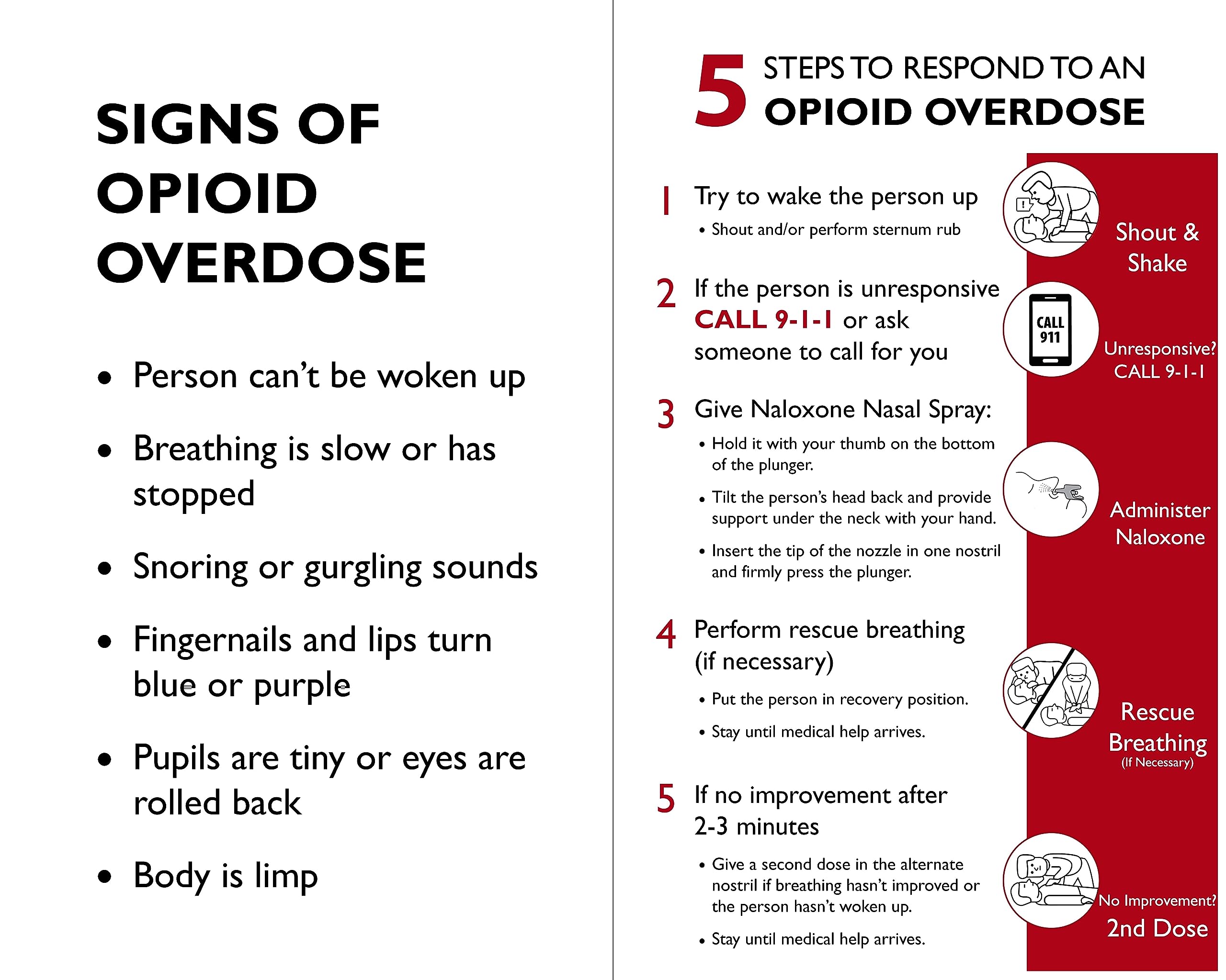 Fentanyl Test Strip Opioid Overdose Prevention Kit | Includes 5 Fentanyl Test Strips for Pills, Powders & Liquids + Naloxone Carry Case + Mixing Container + 10mg Spoon and Instructions (1)