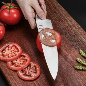 KnifeSaga Japanese Chef Knife Professional 8 Inch, Next Generation High Carbon Stainless Steel Razor Sharp Kitchen Cooking Knife, High-End Gift for Pro Chefs, Luxury Box, Full Tang Handle