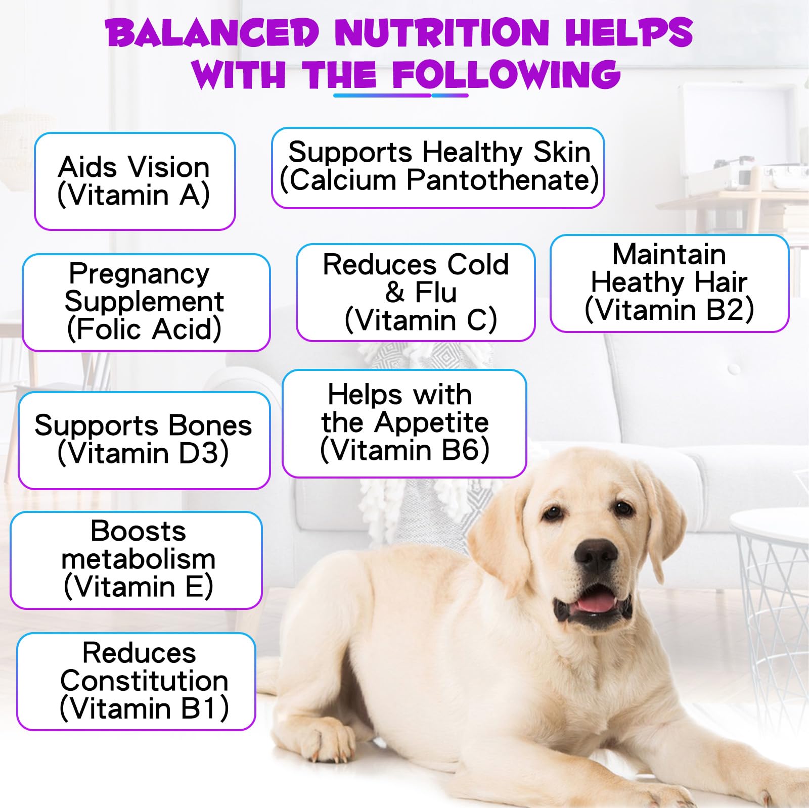 15 in 1 Dog Multivitamin, All-in-One Multi Liquid Multivitamin for Dogs, Dog Vitamins and Supplement with Digestive, Immunity, Allergy Skin & Coat Support, Hip & Joint, All Ages, Breeds 2 oz