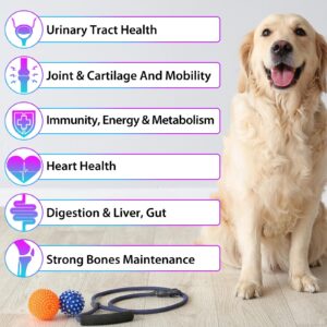 15 in 1 Dog Multivitamin, All-in-One Multi Liquid Multivitamin for Dogs, Dog Vitamins and Supplement with Digestive, Immunity, Allergy Skin & Coat Support, Hip & Joint, All Ages, Breeds 2 oz