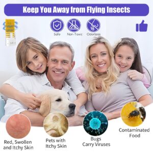 2 Packs Fly Traps Indoor for Home Plug in Bug Catcher Indoor with 20 Sticky Glue Card Refills and Plug in UV Bug Light, Mosquito Trap for Gnats Moths Mosquitos Flies