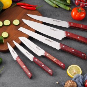 Chef Knives Set, 6-Piece Kitchen Knife Set, Sharp Professional Cooking Knives with High-Carbon-Stainless-Steel Blades