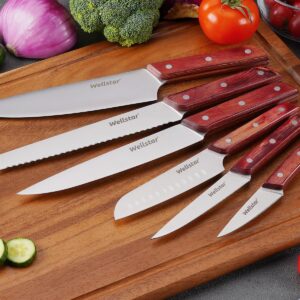 Chef Knives Set, 6-Piece Kitchen Knife Set, Sharp Professional Cooking Knives with High-Carbon-Stainless-Steel Blades