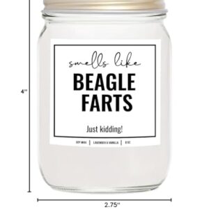 YouNique Designs Smells Like Beagle Farts Soy Candle 8oz - Dog Farts Candle Beagle Gifts for Beagle Lovers - Beagle Gifts for Women, Men - Beagle Dad Gifts, Dog Mom Gifts (Lavender & Vanilla)