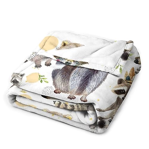 Raccoon Blanket Raccoon Gifts for Girls Boys Kids Woman Raccoon Lover Throw Blankets Soft Blanket Warm Fleece Flannel Plush Blankets for Bed Sofa Couch 40"x50"