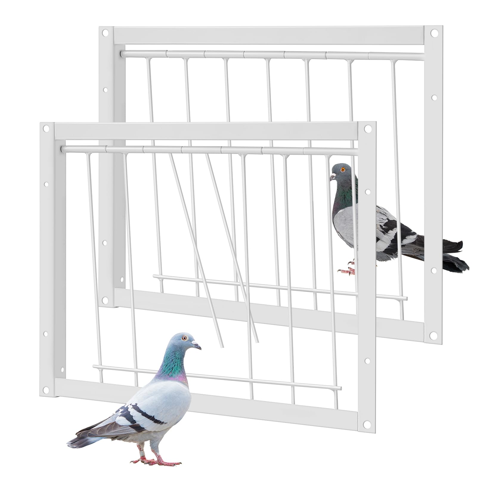 Suzile 2 Pcs 11.81" x 10.24" Pigeon Cage Door Bird Wire One Way Entrance Door Iron Pigeon Trap Door Bird House Door for Racing Supply Birdcage Breeding, White