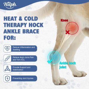 Hilph Rear Leg Hock Brace with Metal Spring Strips and 2 Ice Packs, Dog Leg Brace Hot Cold Compression for Rear Leg, Hock Ankle Support, Injuires, Joint Pain, Sprain and Post Surgery Recovery (M)