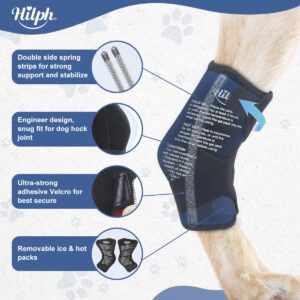 Hilph Rear Leg Hock Brace with Metal Spring Strips and 2 Ice Packs, Dog Leg Brace Hot Cold Compression for Rear Leg, Hock Ankle Support, Injuires, Joint Pain, Sprain and Post Surgery Recovery (M)