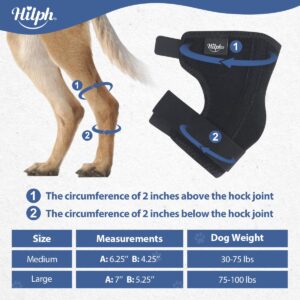 Hilph Rear Leg Hock Brace with Metal Spring Strips and 2 Ice Packs, Dog Leg Brace Hot Cold Compression for Rear Leg, Hock Ankle Support, Injuires, Joint Pain, Sprain and Post Surgery Recovery (M)