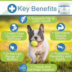 Adaptiflex Natural Joint Supplement for Dogs - Chondroitin, MSM, & Glucosamine for Dogs Hip and Joint Supplement - Aids in Joint Pain Relief - Hip and Joint Soft Chew Supplement for Dogs-Peanut Butter