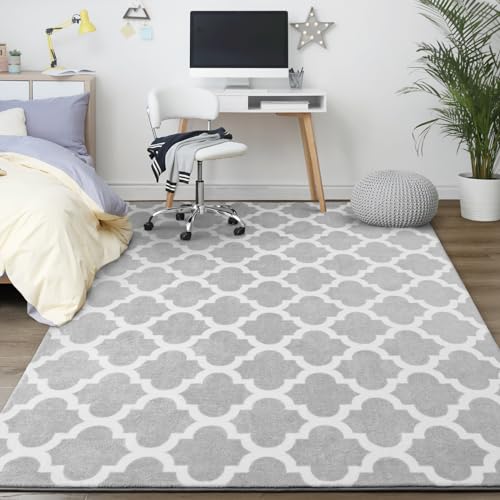 Jelymark Shag Moroccan Area Rug for Living Room, 4x6 Feet Modern Geometric Rug, Fluffy Distressed Faux Wool Floor Carpet, Memory Foam Rug for Bedroom Nursery Kids Room Home Decor, Light Grey/White