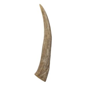 chew chief deer antler dogs large breeds - premium quality dog antlers for aggressive chewers - naturally shed dog chew antlers - dog antler chews (1 pack)