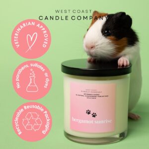 Pet Friendly Candle | Pet Safe Candle | All Natural Soy Candle | Non-Toxic Candle | Pet Odor Eliminator | Clean Burning Candle | Air Freshening Scented | Veterinarian Approved | 4 oz (Horchata)