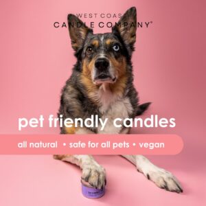 Pet Friendly Candle | Pet Safe Candle | All Natural Soy Candle | Non-Toxic Candle | Pet Odor Eliminator | Clean Burning Candle | Air Freshening Scented | Veterinarian Approved | 4 oz (Horchata)