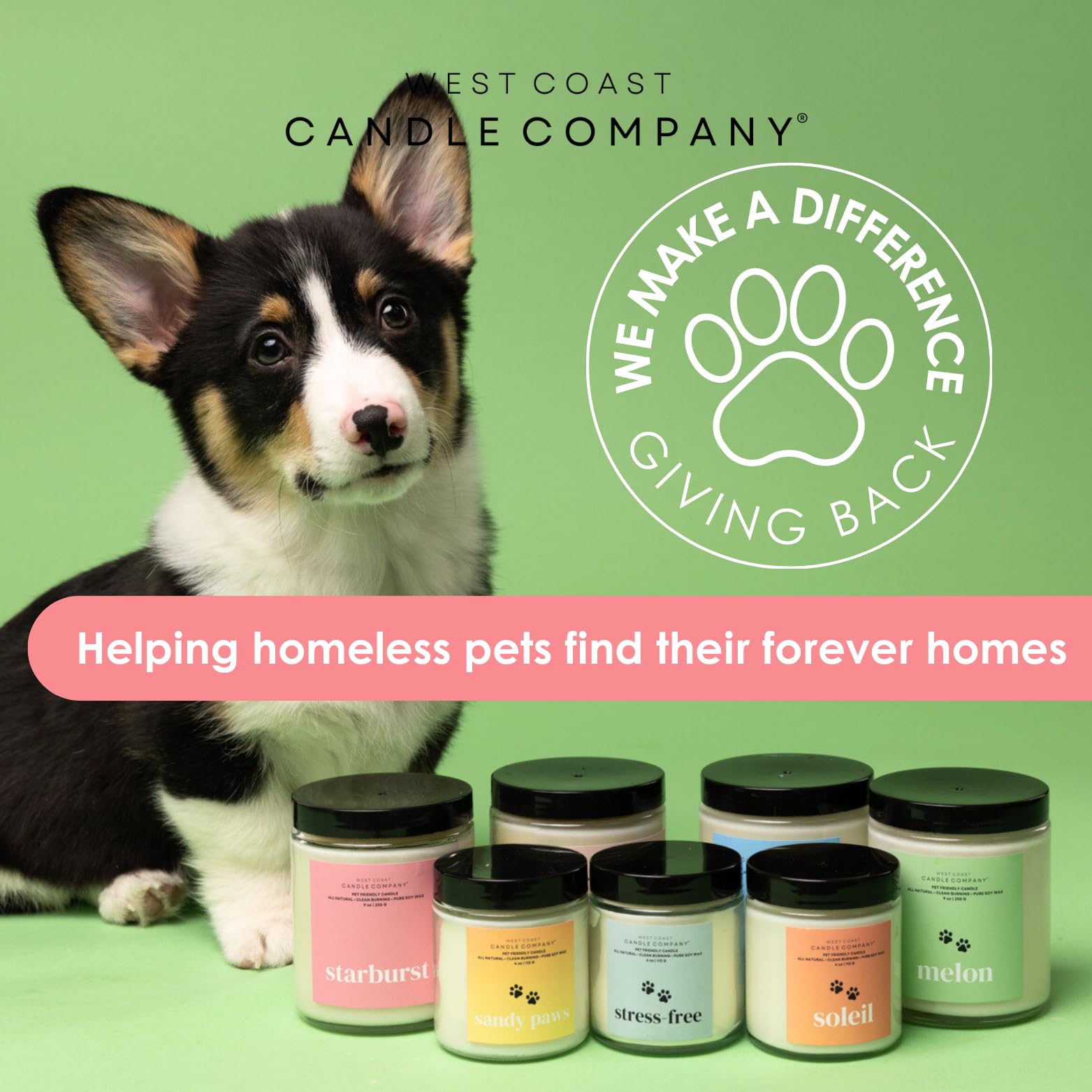 Pet Friendly Candle | Pet Safe Candle | All Natural Soy Candle | Non-Toxic Candle | Pet Odor Eliminator | Clean Burning Candle | Air Freshening Scented | Veterinarian Approved | 4 oz (Horchata)