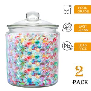 Accguan 1-Gallon Food Storage Containers,Glass Cookie Jar with Lid,Glass Jars for Bath Salts,Flour,Spices,Halloween Candy,Detergent,Kitchen Storage,Holiday Decoration Jars,DIY Gifts,2pcs