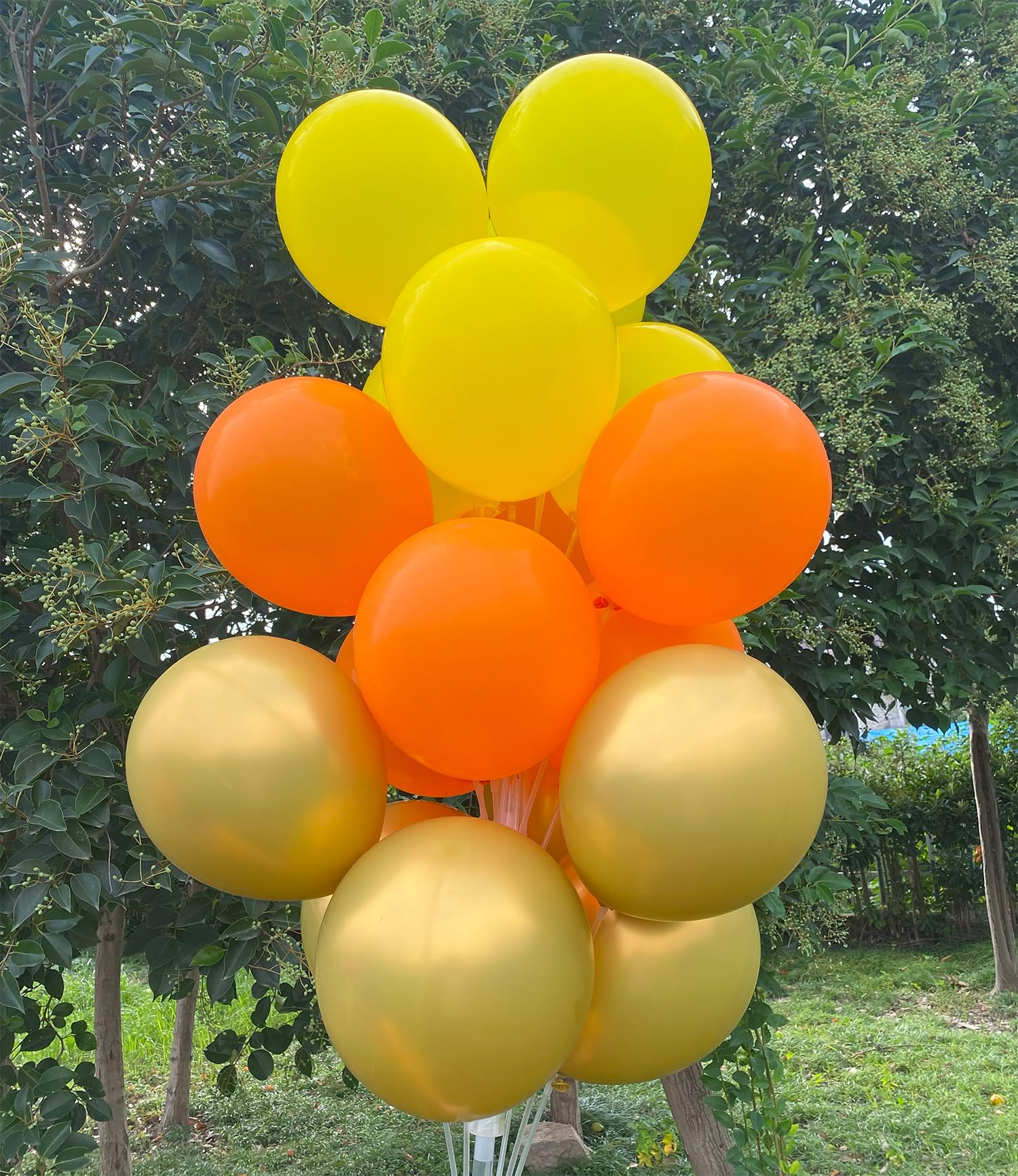 JODIDI 60 Pcs 12-Inch Latex Balloons in Yellow, Orange, and Gold - Perfect for Thanksgiving Day, Halloween, Graduations, Birthday, Fall Celebrations,Baby Shower, and Party Decorations