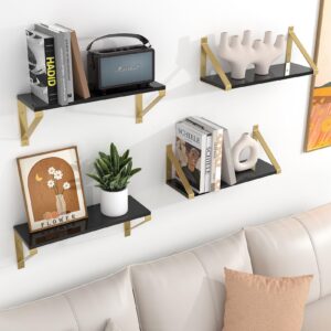 Cilinta Gold Black Floating Shelves Wall Mounted Set of 2, 8mm Transparent Acrylic, Invisible Wall Shelves for Bedroom, Living Room, Bathroom, Kitchen, Office Display Decor (13in)